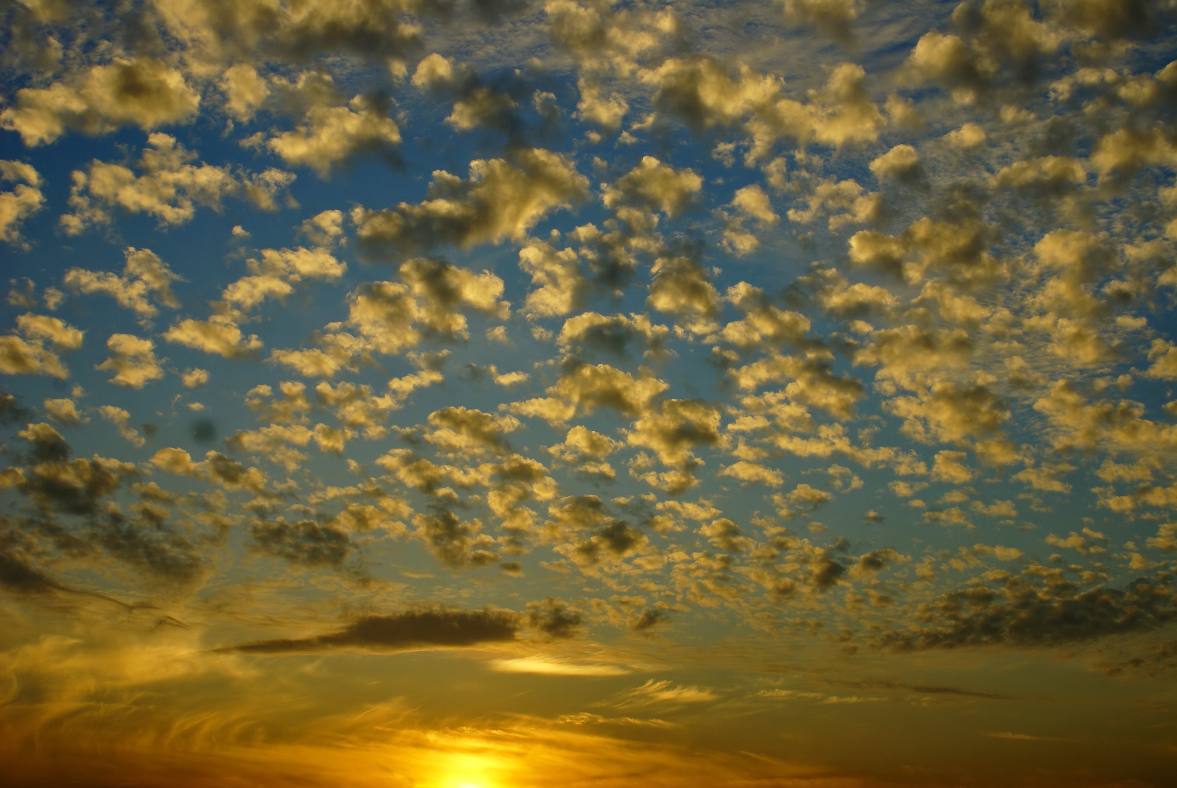 Fotografía de nubes tipo altocúmulos
