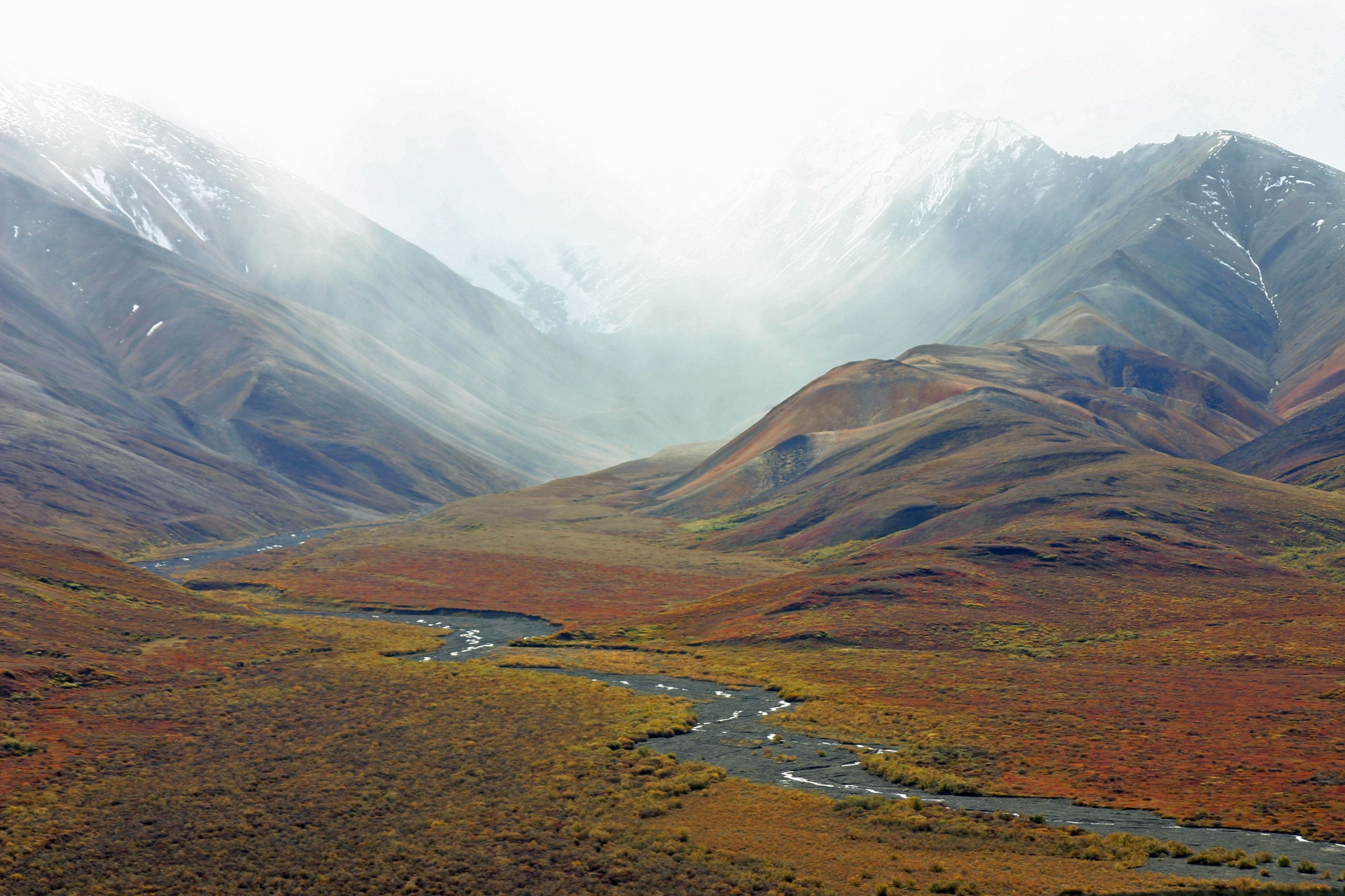 Fotografía de un paisaje de Tundra