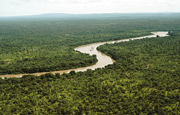 Fotografía que muestra la vista aérea de un río